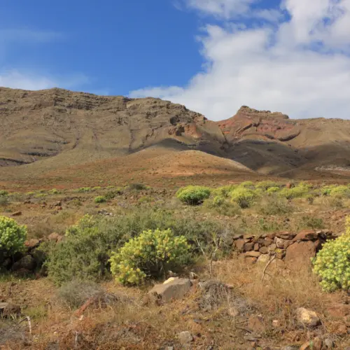 iStock-120707998cardon trail_result